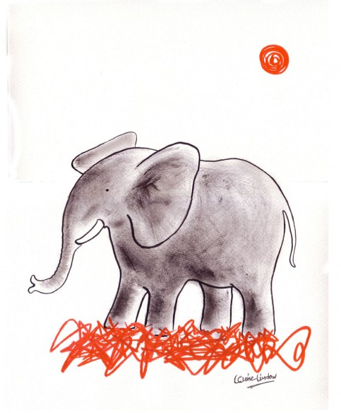 elefant 