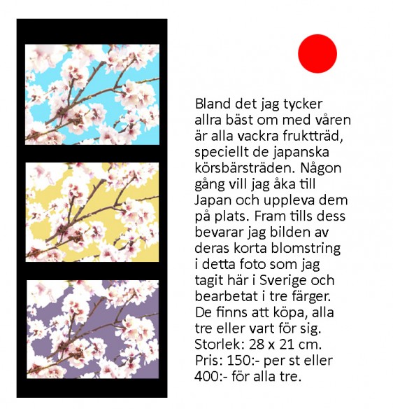 japanskt m text 1